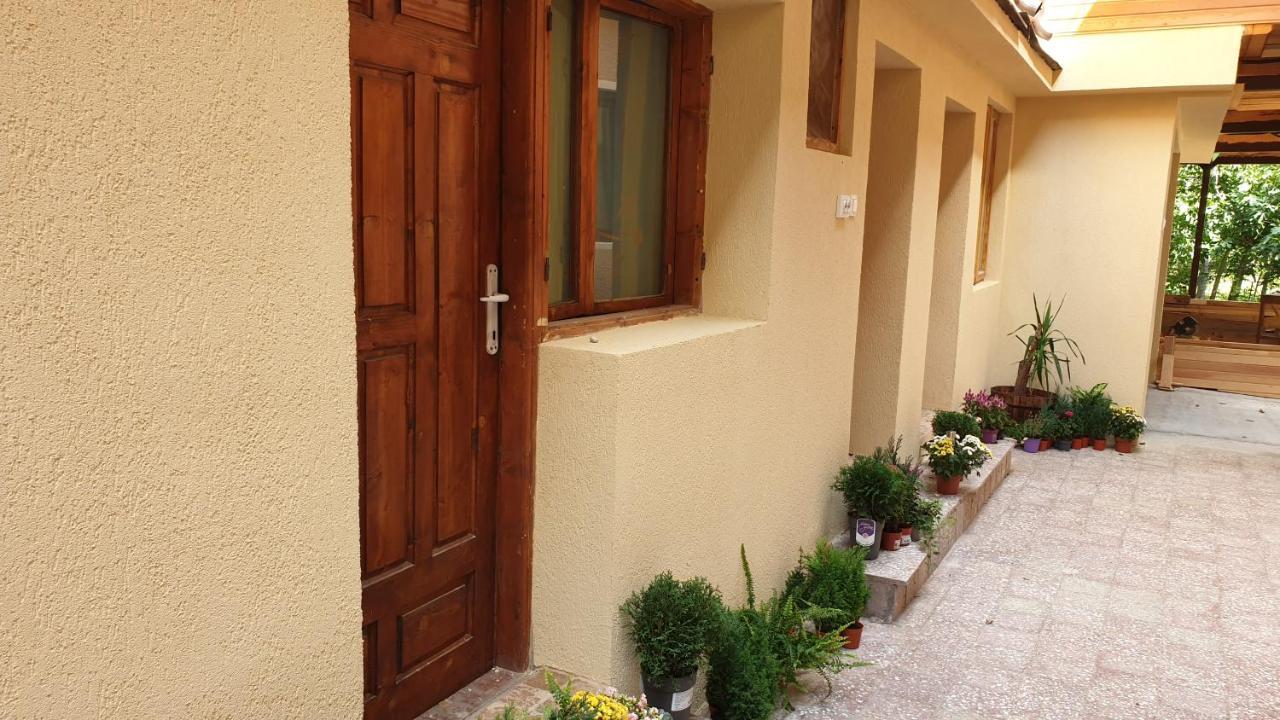 Casa Arion Apartment Băile Herculane Exterior foto