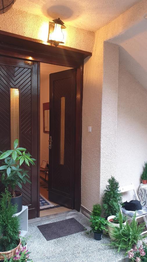 Casa Arion Apartment Băile Herculane Exterior foto